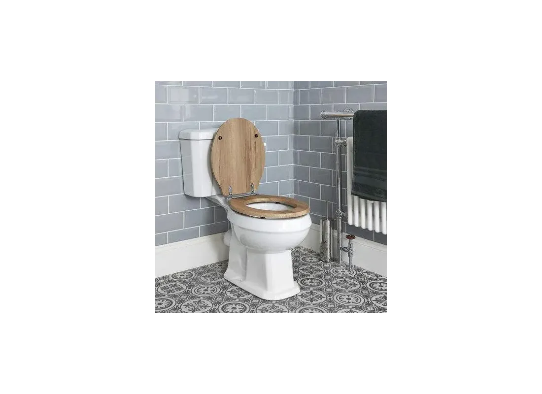 Hoogwaardige toiletzitting voor een lage prijs - Snelle levering op Espinosa.nl