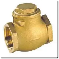 Swing check valve