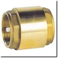 Spring-loaded check valve