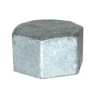 Vrouwelijke GALVA stekker