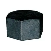 Vrouwelijke ZWARTE stekker