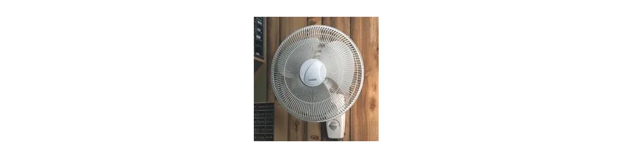 Wall fan