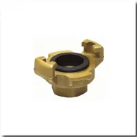 Female "express" fitting