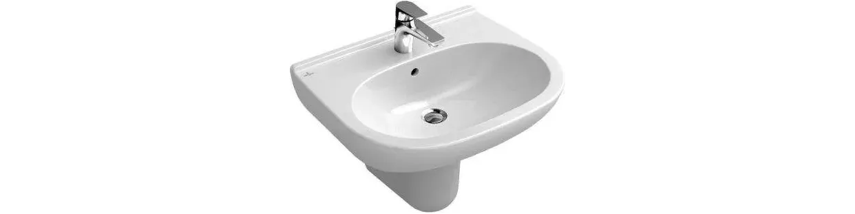 Bidet sink