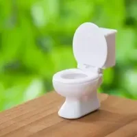 Standaard toiletzittingen