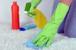 Entretien des sols & tapis