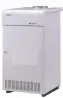 Floor standing gas boiler