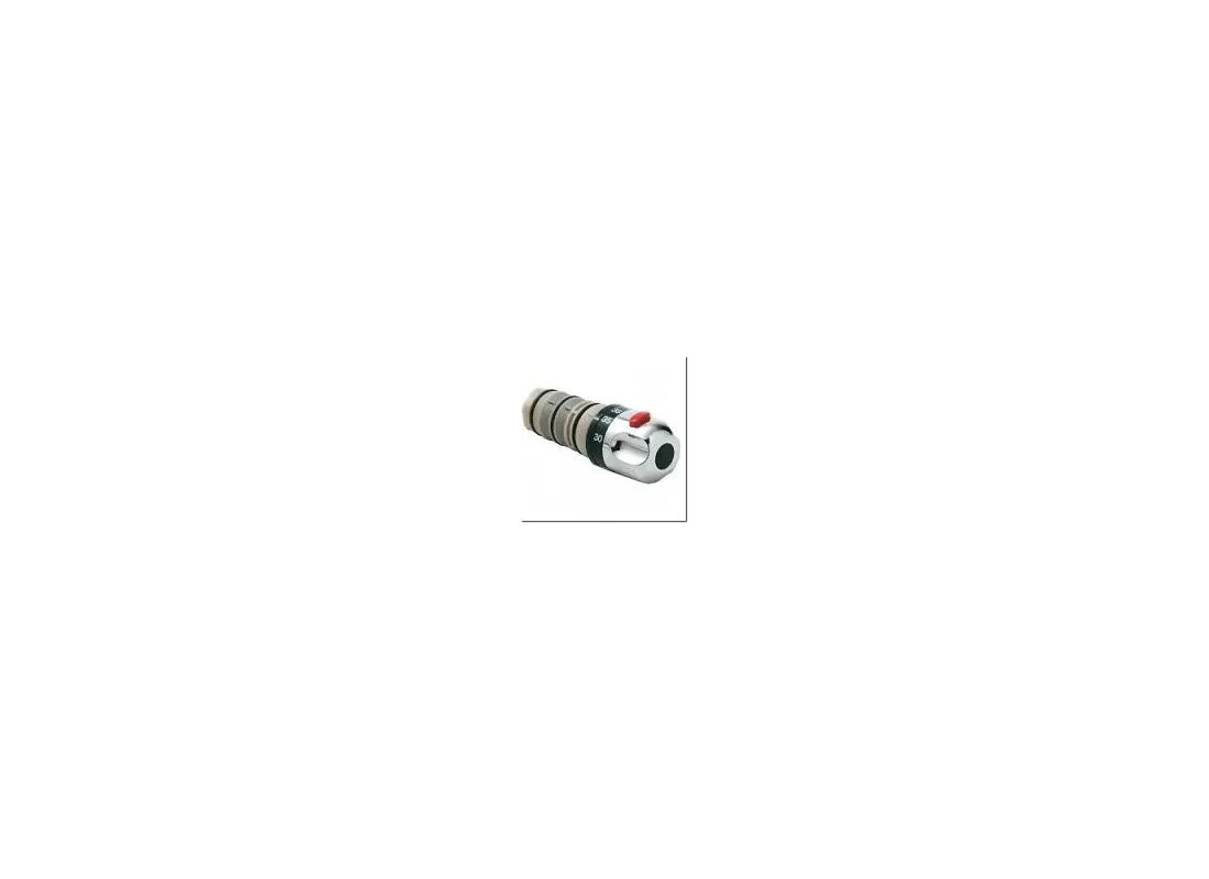 Thermostatisch patroon