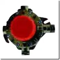 Primary regulator caravan