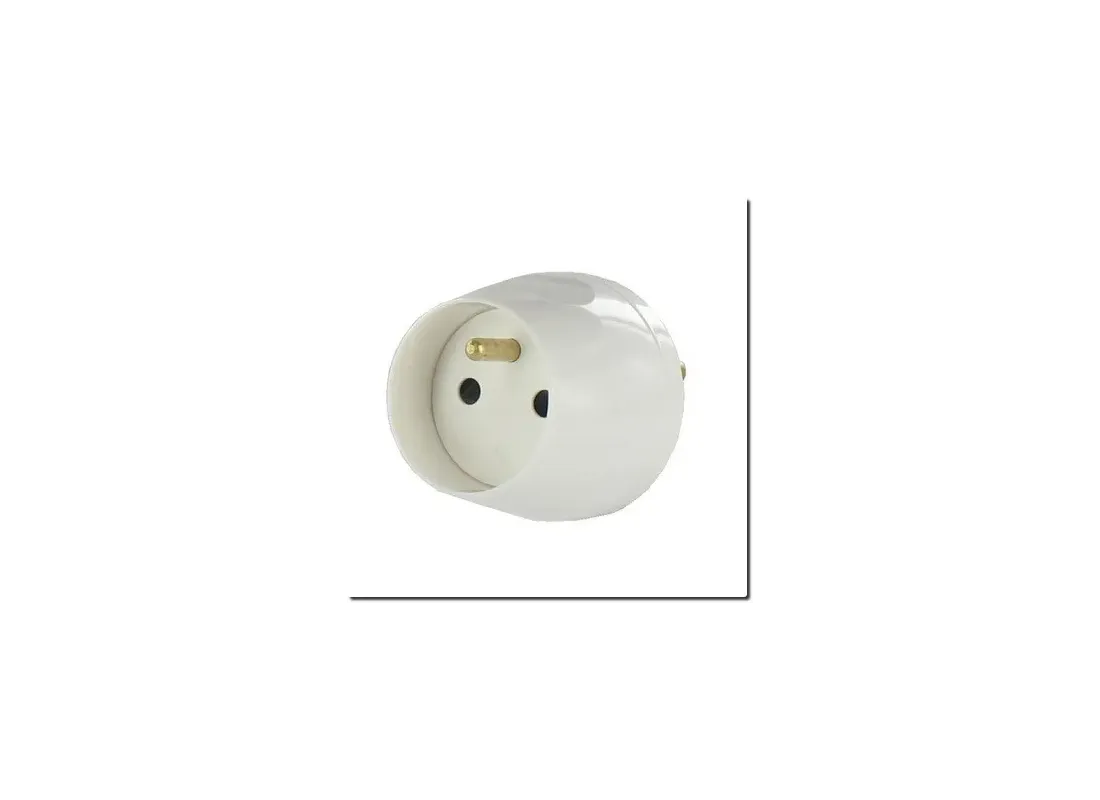 Adaptateur prise 20A