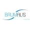 Brumalis - Logo