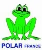 Polar - Logo